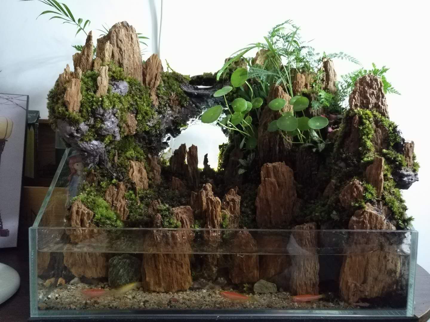 水陆缸