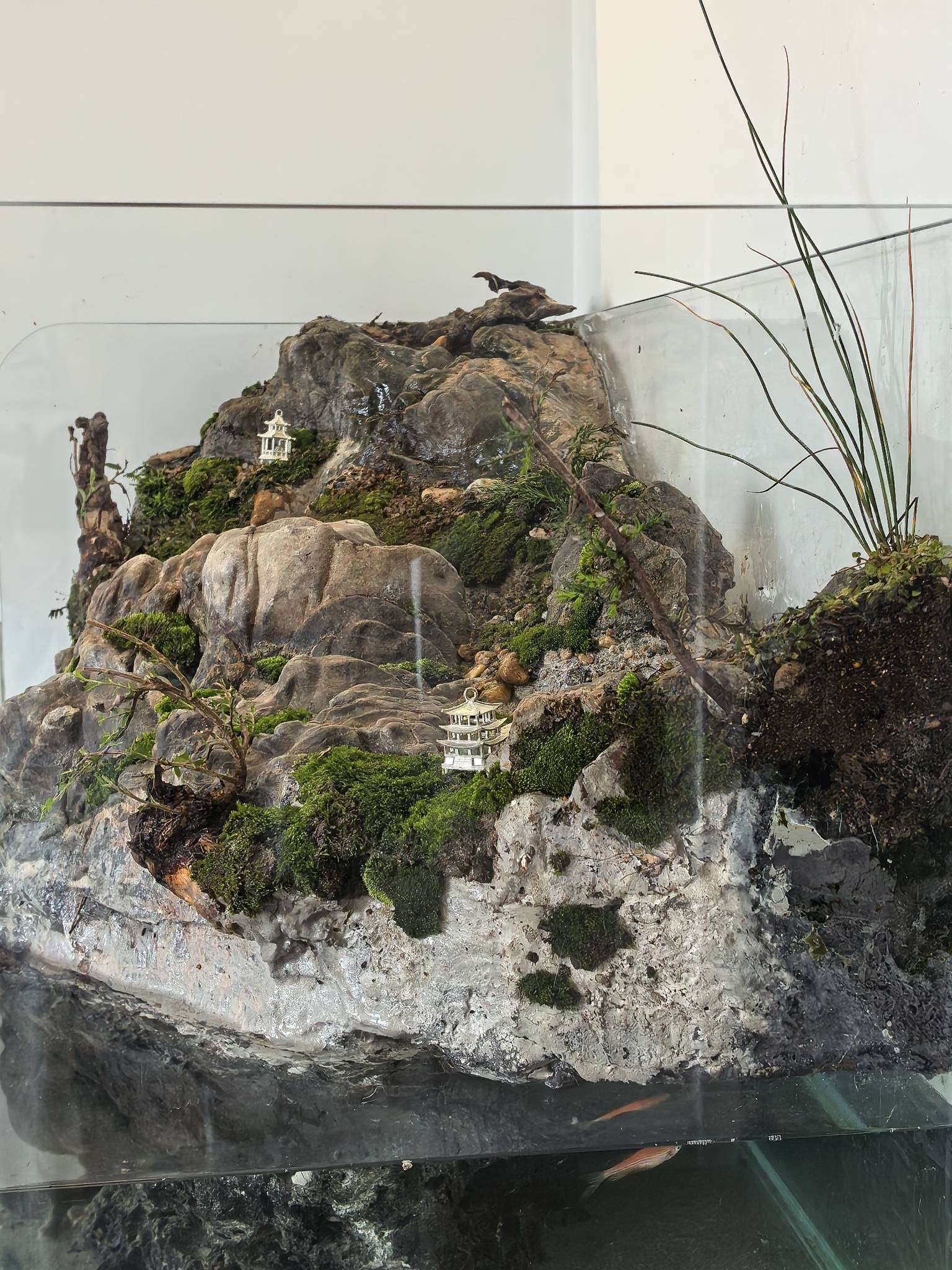 生态缸